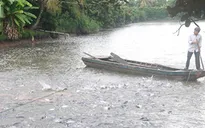 Tiền Giang: Dự kiến đưa 14.700 ha mặt nước vào nuôi trồng thủy sản