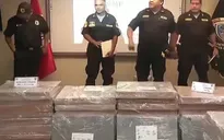 Thu giữ 2,3 tấn cocaine ngụy trang thành lô hàng gạch men