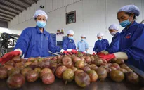 Tăng sức cạnh tranh cho nông sản Việt