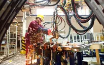 "Xây tổ đón đại bàng" khi thuế không còn là lợi thế?