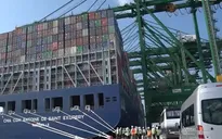 Kinh tế châu Á - Thái Bình Dương tăng trưởng 3% trong năm 2023
