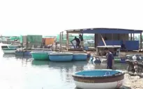 Hàng chục người nuôi tôm hùm bị quỵt nợ