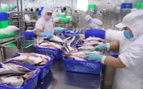 Nâng cao giá trị hàng hóa xuất khẩu