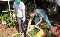 Số ca mắc sốt xuất huyết tại Đồng Nai gia tăng trong các tháng đầu năm