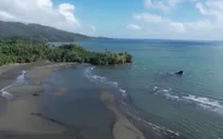 Philippines vật lộn khắc phục hậu quả sự cố tràn dầu