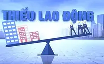 Thị trường lao động châu Âu: Chủ cần thợ, việc chờ người