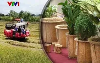 Quản lý hiệu quả rơm rạ giảm phát thải khí nhà kính