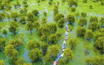 Mekong Delta has 10 more typical tourist destinations