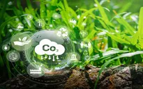 EU chính thức triển khai cơ chế điều chỉnh carbon giai đoạn 1