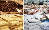 Nông nghiệp phát huy vai trò trụ đỡ của nền kinh tế