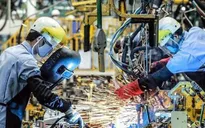 Kinh tế Việt Nam đang trên đà hồi phục