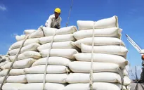 Indonesia xác nhận sẽ nhập khẩu 1,5 triệu tấn gạo từ Việt Nam và Thái Lan
