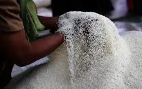 Việt Nam là một trong những thị trường cung cấp gạo chính cho Indonesia