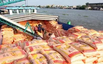 Xuất khẩu gạo, rau quả dự kiến lập kỷ lục mới