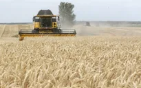 FAO: Sản lượng nông nghiệp thiệt hại 3.800 tỷ USD do các thảm họa