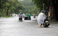 Mưa lũ gây nhiều thiệt hại về người và tài sản ở khu vực miền Trung