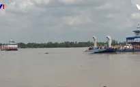 Sẵn sàng khởi công dự án cầu Đại Ngãi 8.000 tỉ đồng