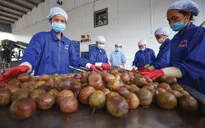 Xuất khẩu hàng hóa tăng hơn 2 tỷ USD