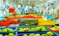 Xuất khẩu rau quả phá kỷ lục lịch sử