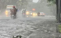 Các tỉnh thành từ Quảng Ninh đến Khánh Hòa chủ động ứng phó với áp thấp nhiệt đới