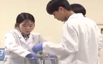 Đào tạo nghề chất lượng cao thu hút sinh viên ở Hàn Quốc