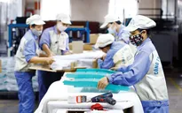 Doanh nghiệp xuất khẩu quay về chinh phục “sân nhà”