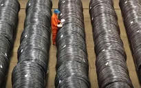 CBAM tạo động lực thúc đẩy xuất khẩu xanh