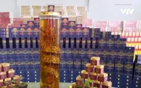 Lợi dụng thương hiệu sâm Ngọc Linh để trục lợi