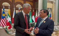 Tăng cường hiệu quả hoạt động của các Khu công nghiệp Việt Nam - Singapore
