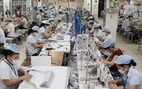 Hơn 116 nghìn doanh nghiệp đăng ký thành lập mới