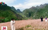 Quảng bá, lan tỏa bản sắc văn hóa, du lịch Hà Giang