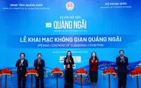 Quảng bá hình ảnh, tiềm năng, thế mạnh của Quảng Ngãi tới các nhà đầu tư quốc tế lớn