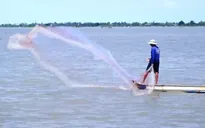 Nhộn nhịp đánh bắt cá mùa nước nổi