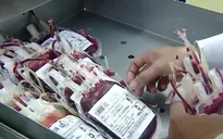 Tháo gỡ tình trạng thiếu nguồn máu điều trị tại Cần Thơ