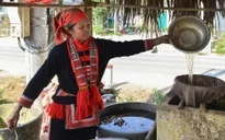 Gìn giữ, phát huy giá trị truyền thống, di sản văn hóa của Hà Giang