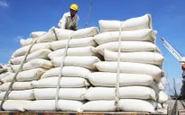 Giá gạo xuất khẩu của Việt Nam tăng cao