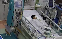 Bé 6 tuổi tổn thương đa cơ quan do nhiễm xoắn khuẩn Leptospira