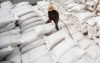 Xuất khẩu gạo thu về gần 4 tỷ USD sau 10 tháng