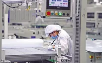 Hàng trăm nhà đầu tư nước ngoài tới Việt Nam tìm cơ hội đầu tư