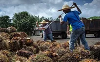 Malaysia tuyển dụng lao động nước ngoài trong 3 lĩnh vực