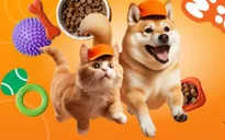 Chung tay cứu hộ chó mèo qua chiến dịch "Những dấu chân hạnh phúc"