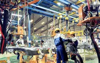 ADB: Việt Nam khá thành công trong việc ổn định nền kinh tế vĩ mô