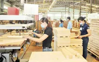 Dự kiến xuất khẩu gỗ đạt 15 tỷ USD