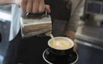 Biến đổi khí hậu đe dọa ngành kinh doanh cà phê
