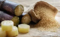 Giá mía đường liên tục tăng cao