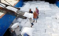 Xuất khẩu gạo Việt Nam thiết lập kỷ lục mới