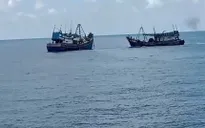 Khẩn trương cấp cứu thuyền viên bị cá kiếm đâm vào bụng