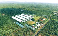 "Ai gây ô nhiễm, người đó phải trả tiền": Doanh nghiệp Việt và luật chơi "xanh hoá"