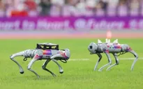 Đội quân robot phục vụ Á vận hội tại Hàng Châu, Trung Quốc