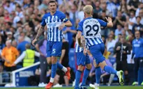 Brighton chia điểm kịch tính trước Liverpool